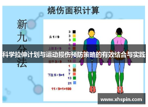 科学拉伸计划与运动损伤预防策略的有效结合与实践